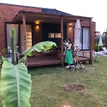 Vila Lemon Tiny House *