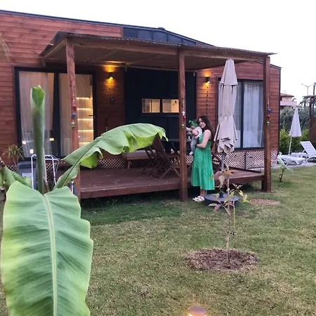 Вилла Lemon Tiny House *