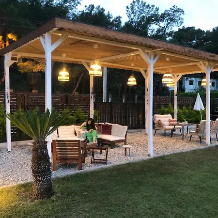 Lemon Tiny House Villa