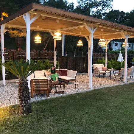 Villa Lemon Tiny House