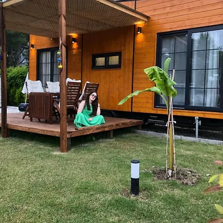 Lemon Tiny House
