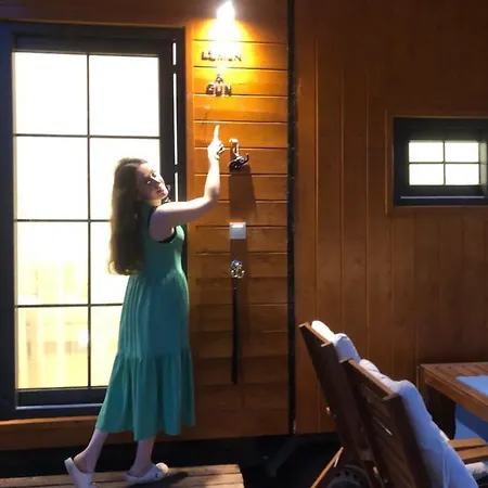 Lemon Tiny House *