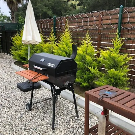 Lemon Tiny House Villa